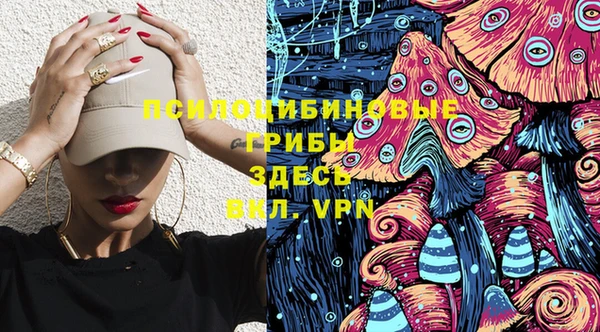 ГАЛЛЮЦИНОГЕННЫЕ ГРИБЫ Нефтегорск